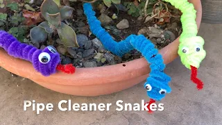 Pipe Cleaner Snake