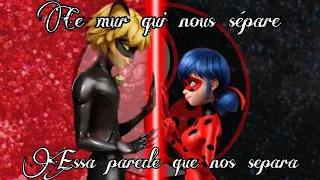 AMV Miraculous: Ce mur qui nous sépare •Tradução•