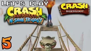 Let's Play Crash Bandicoot: N. Sane Trilogy - Part 5 - I have the High Road
