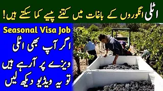 Seasonal Visa Job | Salary + Bonus + Benefits || AdeelJameelGlobal