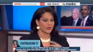 MSNBC Contributor Rails Against 'Crazy Crackers On The Right' Who Use 'Hateful Language