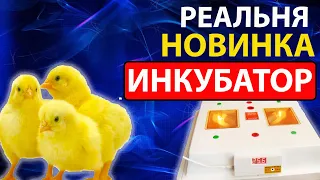 Инкубатор квочка ми 30 - обзор новинки