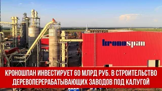 Кроношпан инвестирует 60 млрд рублей в строительство деревоперерабатывающих заводов под Калугой