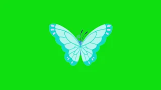 butterfly flying green screen