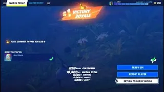 Fortnite - Victory Royale [PS4 Gameplay]