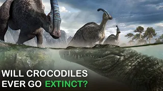 WILL CROCODILES EVER GO EXTINCT?