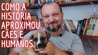 Cães e humanos: como a história os aproximou