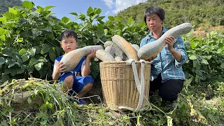 In the golden autumn, the pumpkin harvest is bumper. Grandma makes three pumpkin desserts, which ar