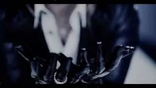 the GazettE   THE INVISIBLE WALL sub español.mpg