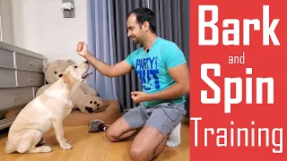 How to Train your Dog/Puppy to Bark (Speak) and Spin | Easy Home Training