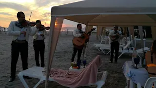 MARIACHI DE ACAPULCO TOCANDO UNA SERENATA EN PLAYA DIAMANTE. TEL 744-250-2305 WH 744-469-7988.