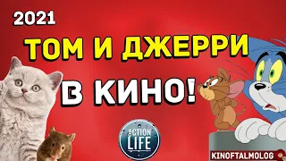 life action ТОМ И ДЖЕРРИ В КИНО! Возвращение оригинального мультфильма 👉 всё что нам известно!