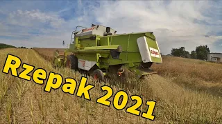 Żniwa Rzepak 2021 - Kosimy Aganosa