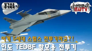 망국의 인도 테자스 항모형 TEDBF 전투기