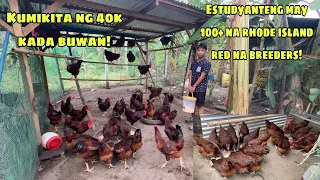 ESTUDYANTE PA LANG PERO KUMIKITA NA NG 40K KADA BUWAN | PWEDENG GAYAHIN RHODE ISLAND RED FARM