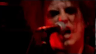 The Cure   The Kiss  live