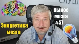 «Энергетика мозга» Сергей Савельев (Вынос мозга #57)