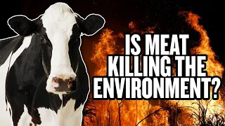 Is Meat Bad for the Environment? | Amazon Rainforest Fires