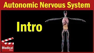 Pharmacology [ANS] 1- Introduction to Autonomic Nervous System ( Pharmacology MADE EASY )