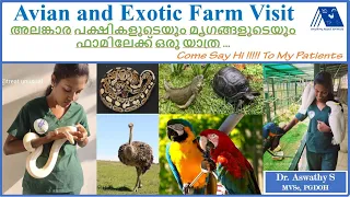 Avian and Exotic Farm Visit | Vlog | Dr. Aswathy Farm Visit | Consultation