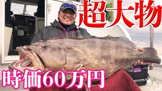 【神回】クエ35kgの超大物。一生かけて狙う超高級！The super big game of 35 kg of kelp groupers.Miracle once in the life