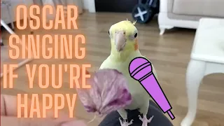 My Cockatiel Oscar Singing If You're Happy - Cockatiel Whistling, Parrot Singing, Bird Talking