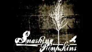 Smashing Pumpkins - Disarm (live) - very rare