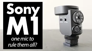 Sony ECM-M1 review: BEST mic for Sony creators?