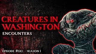 36 SCARY STORIES IN WASHINGTON STATE - ENCOUNTERS WITH CRYPTIDS