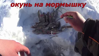 В тайгу за окунем. Ловля на мормышку.