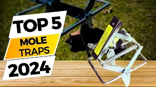 Top 5 Best Mole Traps - Ultimate Buying Guide