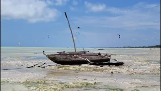 SBH MONICA Zanzibar Styczeń - Luty 2024