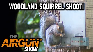 Airgun Action | Squirrel control with Brocock Pathfinder | Crosman Premier + Benjamin pellet test