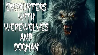 Werewolf and Dogman Stories To Gives You Nightmares  PLUS a peek at my novel (after the show)