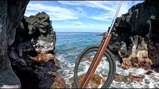 Spearfishing the Shallows of the Big Island Hawaii - Speargun Action!