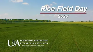2023 Arkansas Rice Field Day Highlights