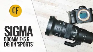 Sigma 500mm f/5.6 DG DN 'Sports' lens review