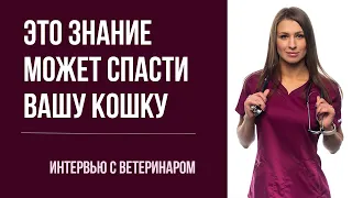 О кошачьей чумке, вирусах и лучших вакцинах | ТОП-50 вопросов врачу инфекционисту Питера