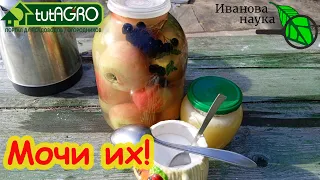 ОЧЕНЬ ВКУСНЫЕ МОЧЕНЫЕ ЯБЛОКИ НА МЕДУ. Пошаговый рецепт и секреты домашней технологии.