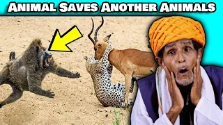 Villagers React To Animal Saves Another Animals ! Tribal People React To Animal Saves Other Animals