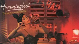 H̲ummingbird ‎– W̲e Can't Go On Meeting Like This, UK 1976 Full Album HQ