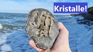 Die besten Funde kommen zum Schluss - Fossilien suchen an der Ostsee