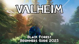 VALHEIM Beginners Guide - Black Forest 2023