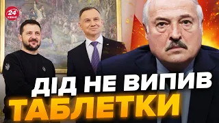 💩Лукашенко ПРИНИЗИВ ЗЕЛЕНСЬКОГО і ВСЮ ПОЛЬЩУ / Знову хоче нас посварити !