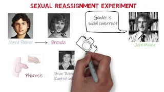 Sexual Reassignment Experiment