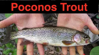 Trout Fishing The Poconos