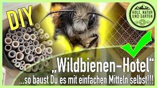 Wildbienenschutz im Garten! Teil 2 - So baust Du einfach und wirkungsvoll eine Wildbienen-Nisthilfe!