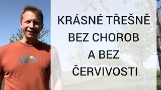 🚫 Přestaňte UBLIŽOVAT svým třešním 🚫 9 chyb, kterými ničíte své stromy 🌳 Ukázka řezu třešní