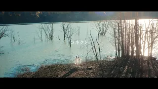 ClariS "Connect" -reformare- Music Video (TV Anime "Puella Magi Madoka Magica" Opening Theme)