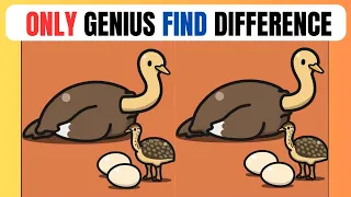 Spot The Difference : Only Genius Find Differences 227 #findthedifference #findthedifferencegame